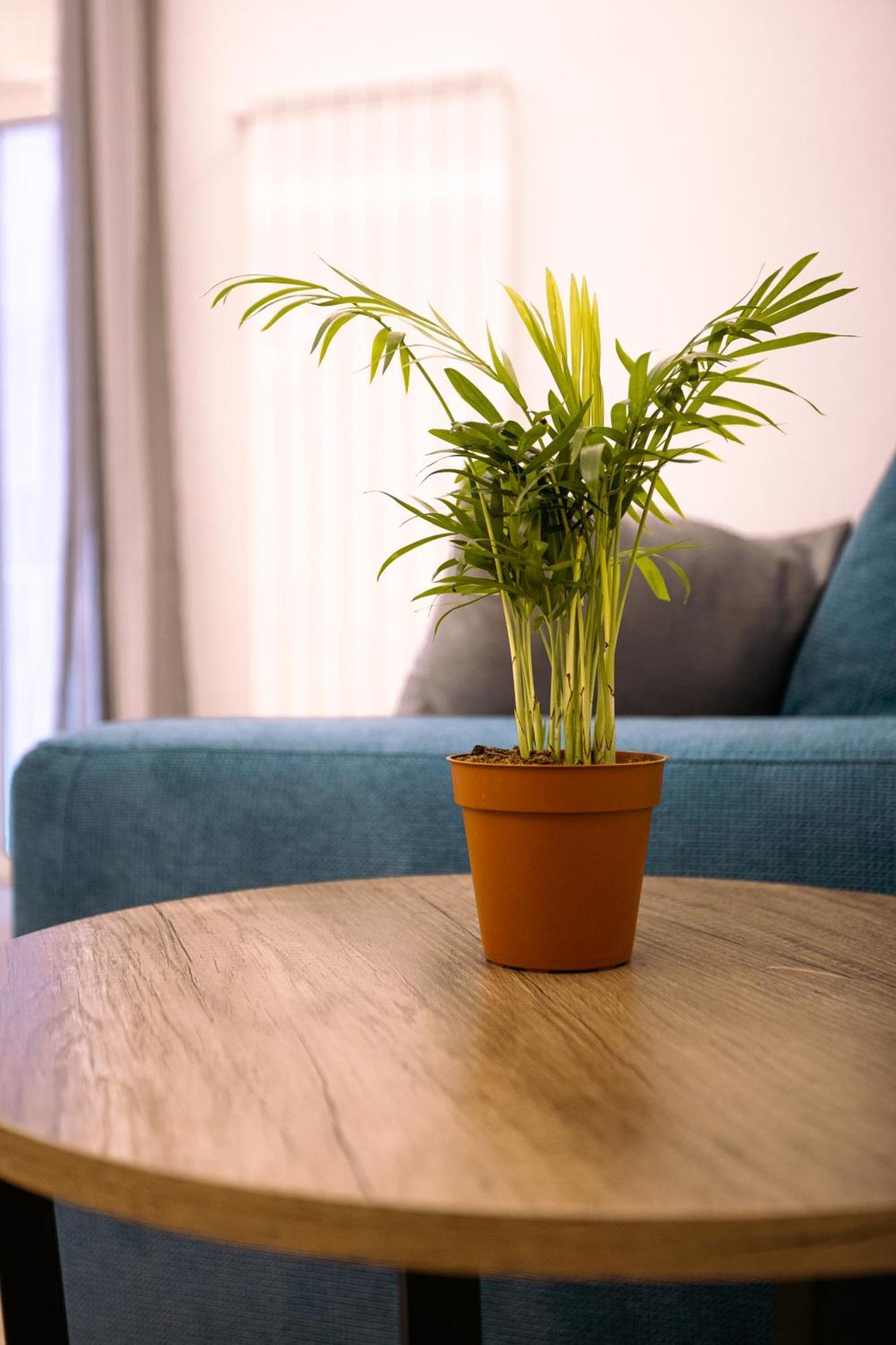 Song House Apartment Centro Storico 7 Pax Napoli Ngoại thất bức ảnh